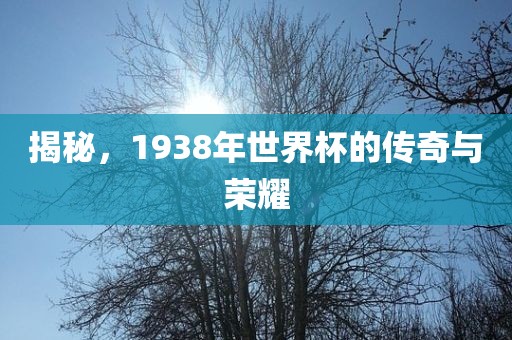 揭秘，1938年世界杯的传奇与荣耀洪湖市顺升工程机械租赁有限公司