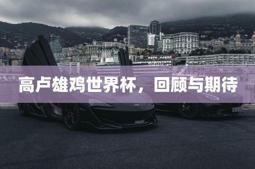 高卢雄鸡世界杯，回顾与期待洪湖市顺升工程机械租赁有限公司