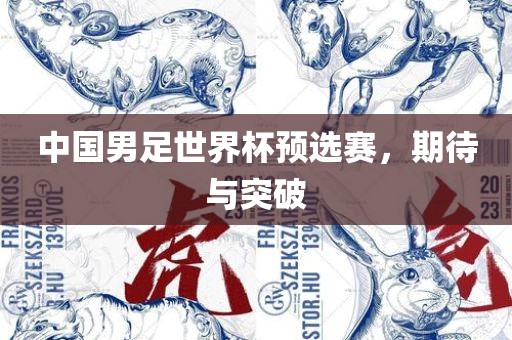 中国男足世界杯预选赛，期待与突破