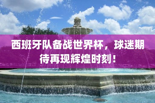 西班牙队备战世界杯，球迷期待再现辉煌时刻！洪湖市顺升工程机械租赁有限公司