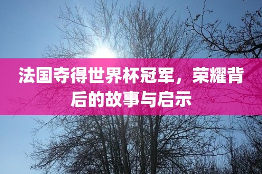 法国夺得世界杯冠军，荣耀背后的故事与启示