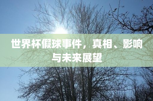 世界杯假球事件，真相、影响与未来展望