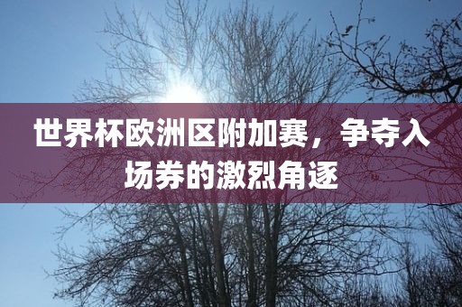 世界杯欧洲区附加赛，争夺入场券的激烈角逐