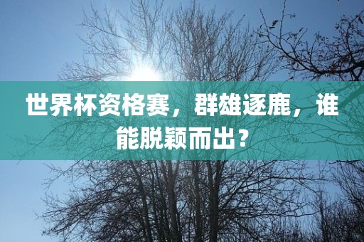 世界杯资格赛，群雄逐洪湖市顺升工程机械租赁有限公司鹿，谁能脱颖而出？