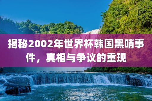 揭秘2002年世界杯韩国黑哨事件，真相与争议的重现
