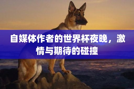 自媒体作者的世界杯夜晚，激情与期待的碰撞