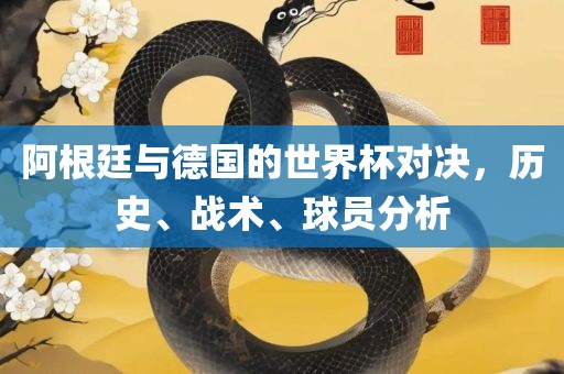 阿根廷与德国的世界杯对决，历史、战术、球员分析