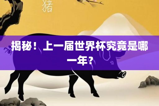 揭秘！上一届世界杯究竟是哪一年？