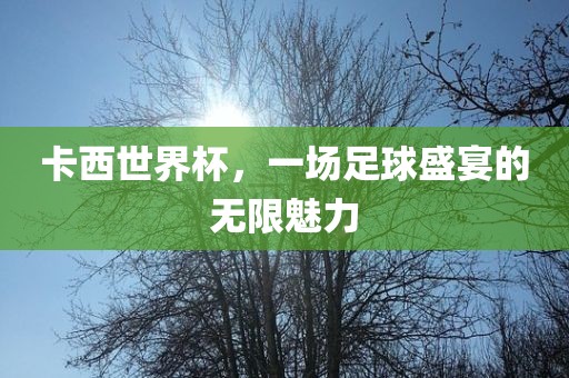 洪湖市顺升工程机械租赁有限公司卡西世界杯，一场足球盛宴的无限魅力