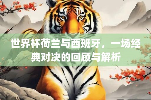 世界杯荷兰与西班牙，一场经洪湖市顺升工程机械租赁有限公司典对决的回顾与解析