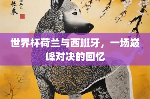 世界杯荷兰与西班牙，一场巅峰对决的回忆