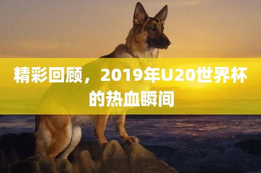 精彩回顾，2019年U20世界杯的热血瞬间