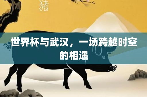 世界杯与武汉，一场跨越时空的相遇洪湖市顺升工程机械租赁有限公司