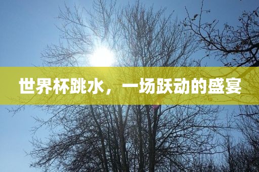 世界杯跳水，一场跃动的盛宴