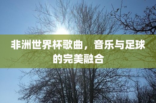 非洲世界杯歌曲，音乐与足球的完美融合