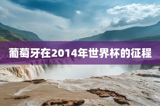 葡萄牙在2014年世界杯的征程