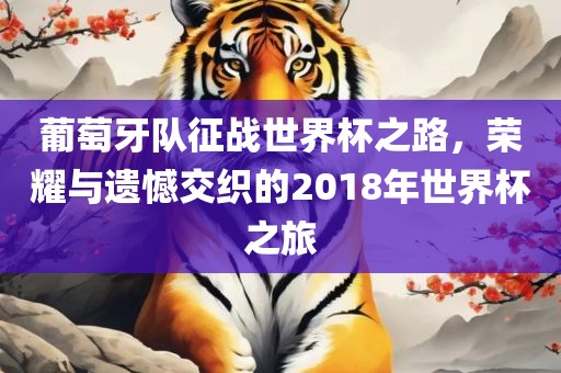 葡萄牙队征战世界杯之路，荣耀与遗憾交织的2018年世界杯之旅