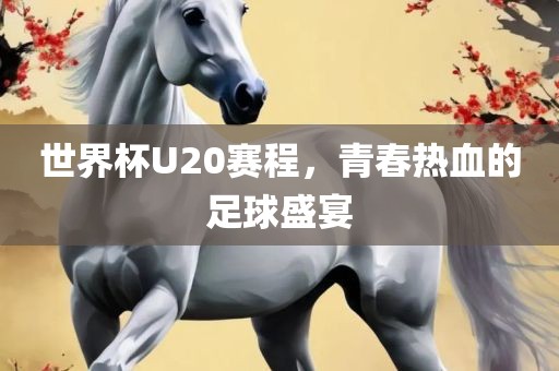 世界杯U20赛程，青春热血的足球盛宴