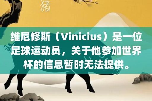 维尼修斯（Vini洪湖市顺升工程机械租赁有限公司cius）是一位足球运动员，关于他参加世界杯的信息暂时无法提供。