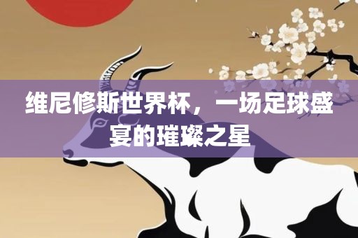 维尼修斯世界杯，一场足球盛宴的璀璨之星