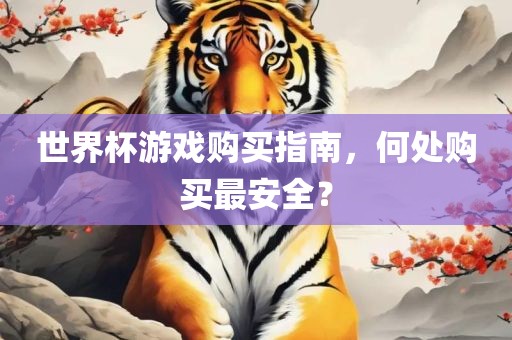 世界杯游戏购买指南，何处购买最安全？