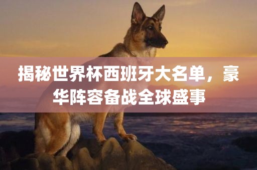 揭秘世界杯西班牙大名单，豪华阵容备战全球盛事