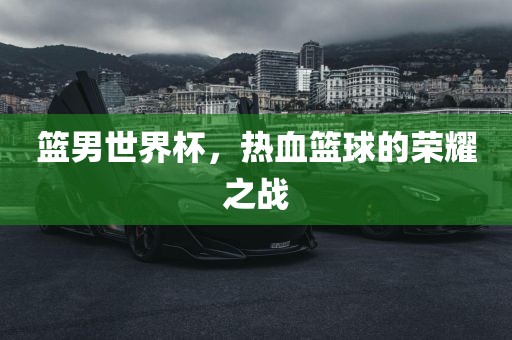 篮男世界杯，热血篮球的荣耀之战洪湖市顺升工程机械租赁有限公司