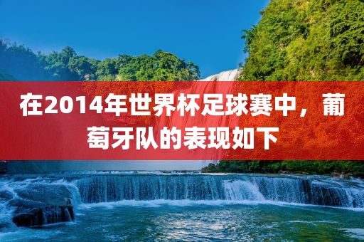 在2014年世界杯足球赛中，葡萄牙队的表现如下洪湖市顺升工程机械租赁有限公司