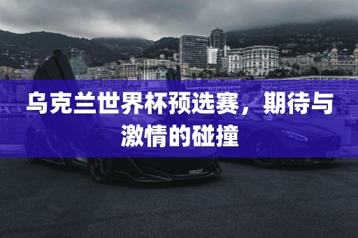 乌克兰世界杯预选赛，期待与激情的碰撞