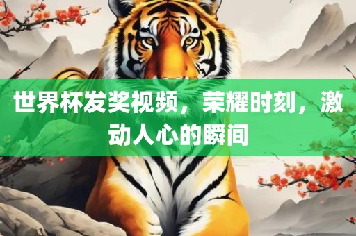 世界杯发奖视频，荣耀时刻，激动人心的瞬间