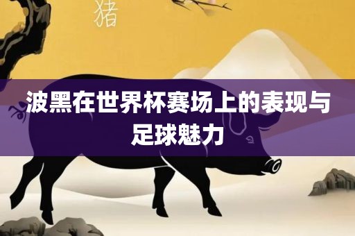 波黑在世界杯赛场上的表现与足球魅力