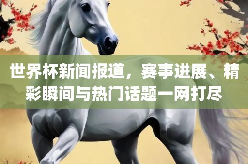 世界杯新闻报道，赛事进展、精彩瞬间与热门话题一网打尽