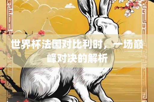 世界杯法国对比利时，一场巅峰对决的解析