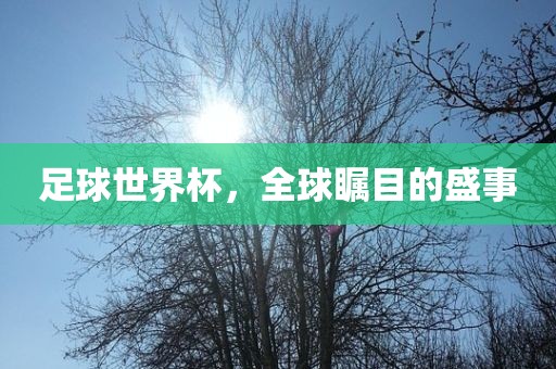 足球世界杯，全球瞩目的盛事