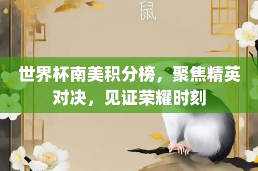 世界杯南美积分榜，聚焦精英对决，见证荣耀时刻