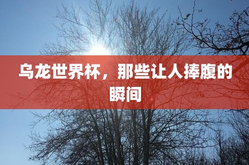 乌龙世界杯，那些让人捧腹的瞬间