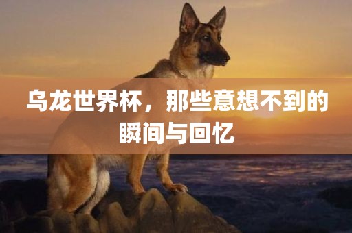 乌龙世界杯，那些意想不到的瞬间与回忆