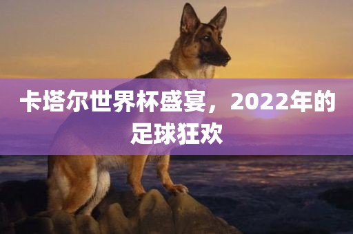 卡塔尔世界杯盛宴，2022年的足球狂欢洪湖市顺升工程机械租赁有限公司