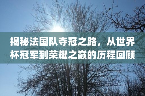 揭秘法国队夺冠之路，从世界杯冠军到荣耀之巅的历程回顾洪湖市顺升工程机械租赁有限公司