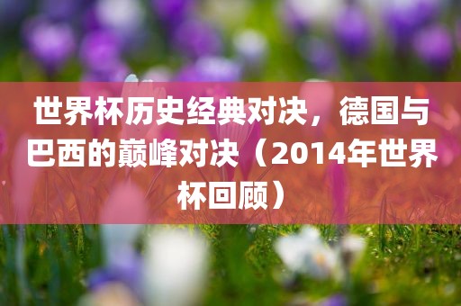 世界杯历史经典对决，德国与巴西的巅峰对决（2014年世界杯回顾）