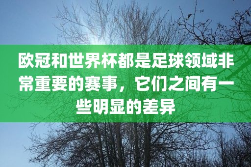 欧冠和世界杯都是足球领域非常重要的赛事，它们之间有一些明显的差异