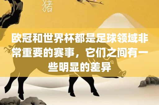 欧冠和世界杯都是足球领域非常重要的赛事，它们之间有一些明显的差异