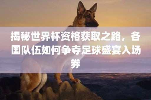 揭秘世界杯资格获取之路，各国队伍如何争夺足球盛宴入场券