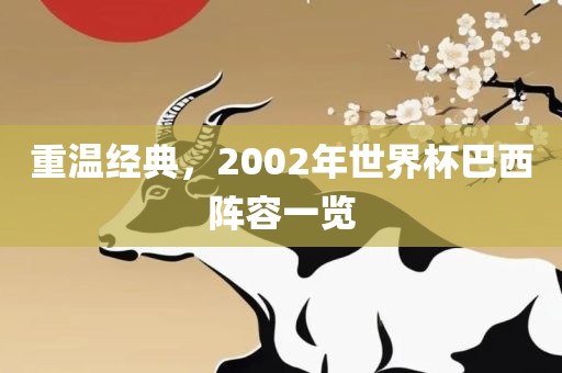 重温经典，2002年世界杯巴西阵容一览