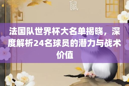 法国队世界杯大名单揭晓，深度解析24名球员的潜力与战术价值