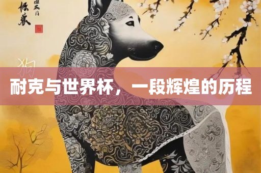 耐克与世界杯，一段辉煌的历程