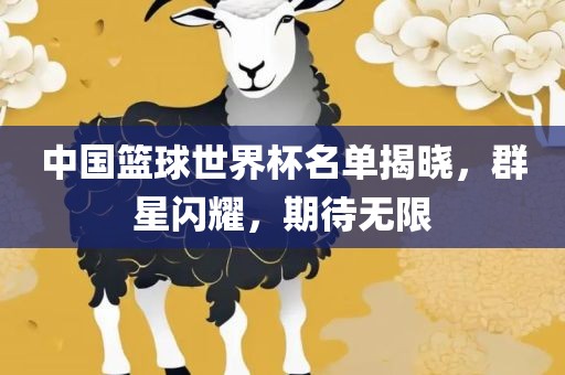 中国篮球世界杯名单揭晓，群星闪耀，期待无限