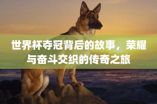 世界杯夺冠背后的故事，荣耀与奋斗交织的传奇之旅