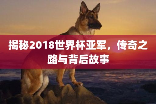 揭秘2018世界杯亚军，传奇之路与背后故事