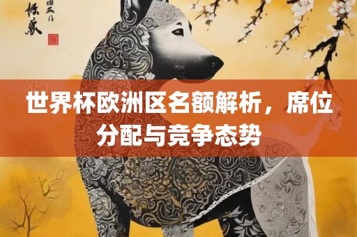 世界杯欧洲区名额解析，席位分配与竞争态势